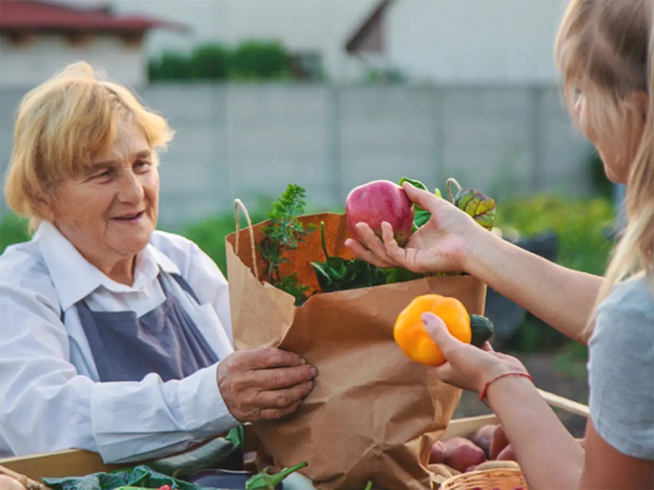 Hunger and Alzheimer’s: The Hidden Crisis That Needs Our Attention